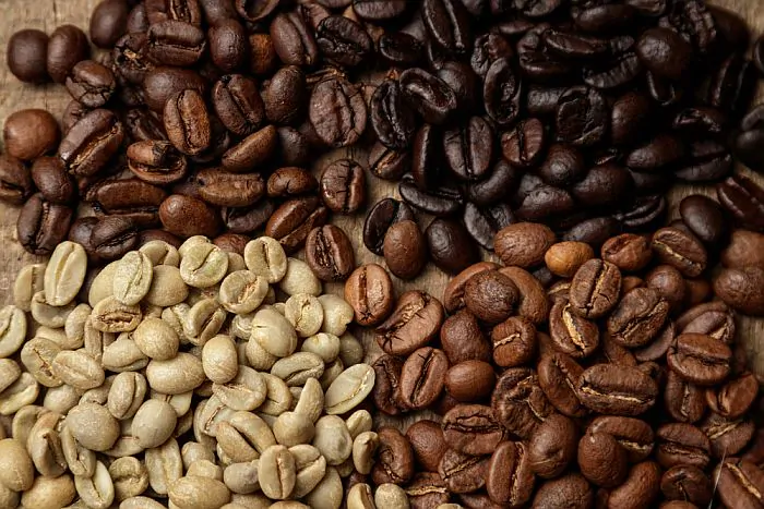 Three varieties of coffee beans.
